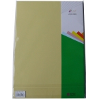 悅聲SJP-10 160gA4彩色卡紙 米黃色 50張/包-2