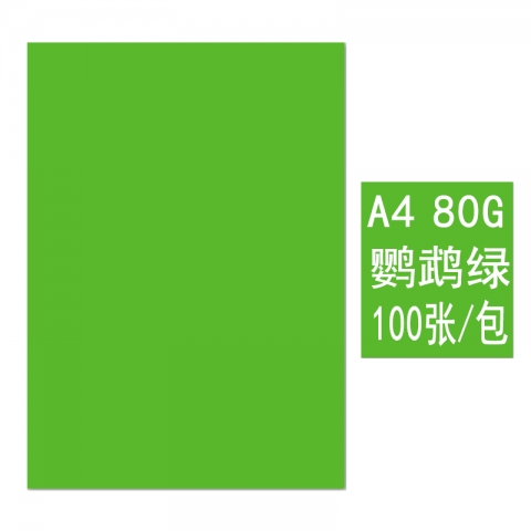 BESSIE彩色復(fù)印紙BS8108 A4 80G(100張) 鸚鵡綠-6